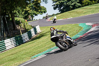 Middle Group Multicolour Bikes